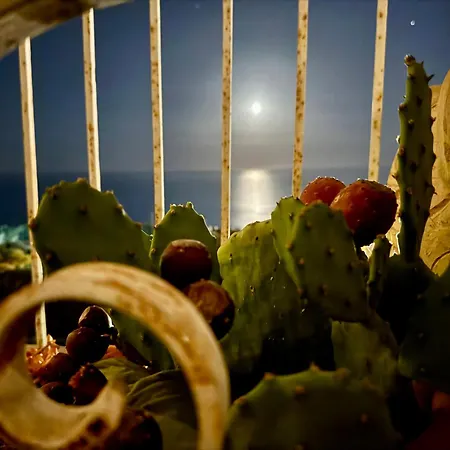 Terrazza D'amuri Santa Caterina * Acireale